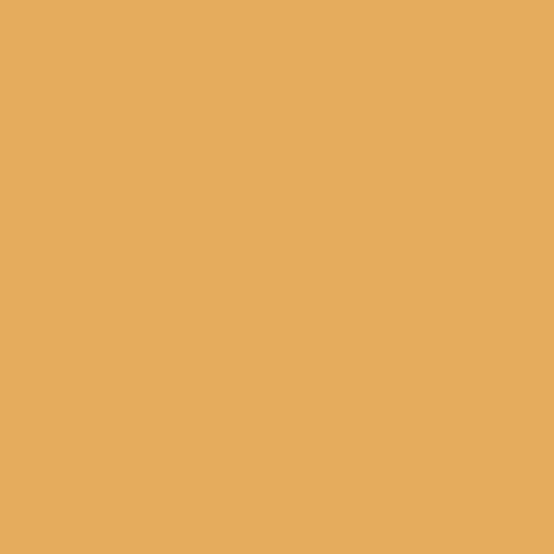 Apricot TS8-1272 VM