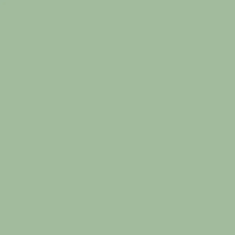 Celadon Green TS8-1283 VM